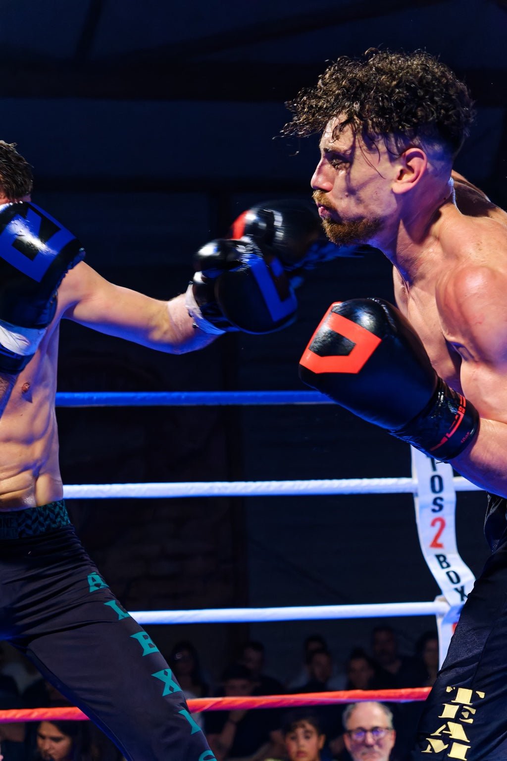 Gants de boxe - FIGHTWATCH